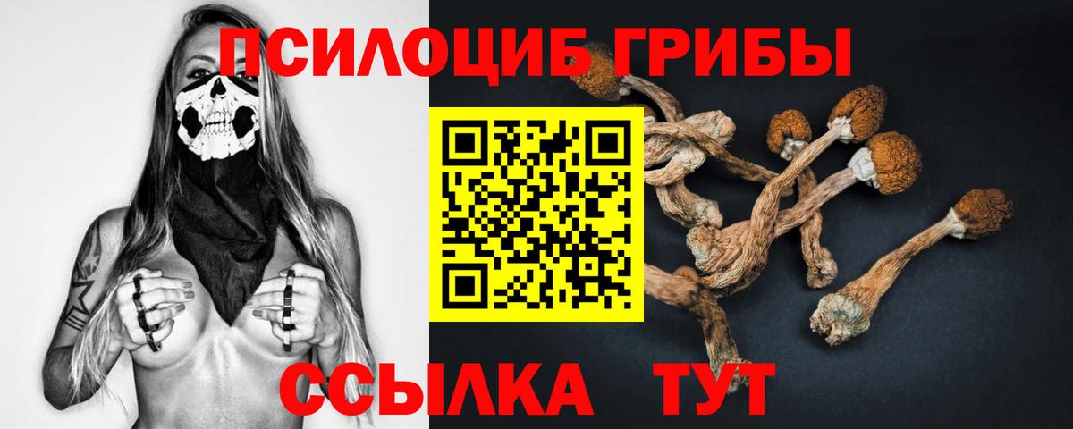 Псилоцибиновые грибы мухоморы  Галлюциногенные грибы мухоморы  Вход с VPN  закладка  Хасавюрт 