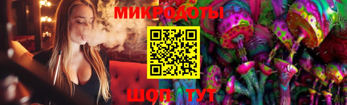 Псилоцибиновые грибы Cubensis Хасавюрт